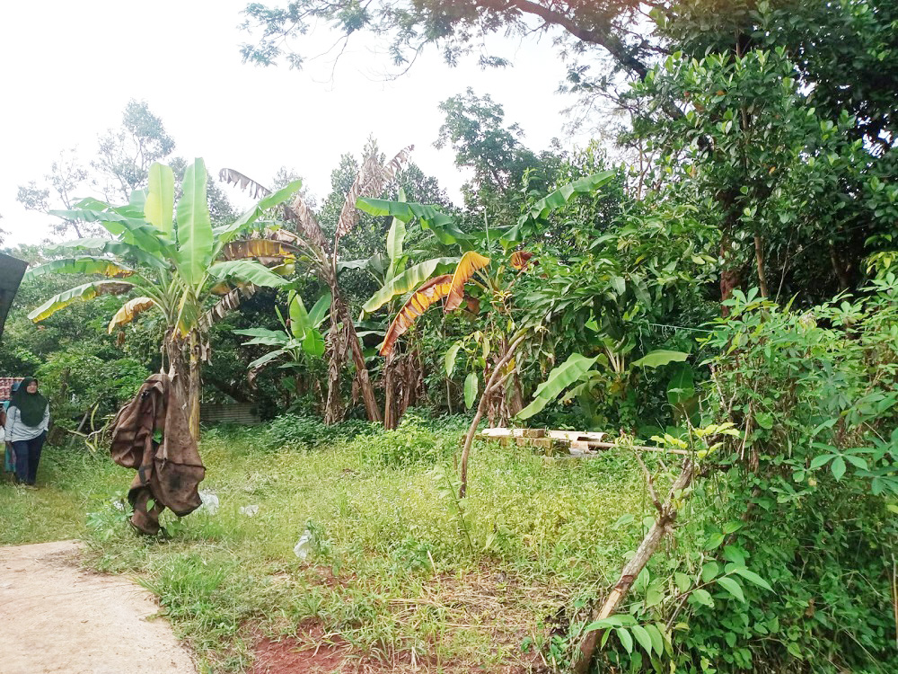 Tanah Dijual Murah di Subang Dekat Alun-Alun Subang, PEMDA Subang, RSUD Subang, Pasar Pujasera, Universitas Subang